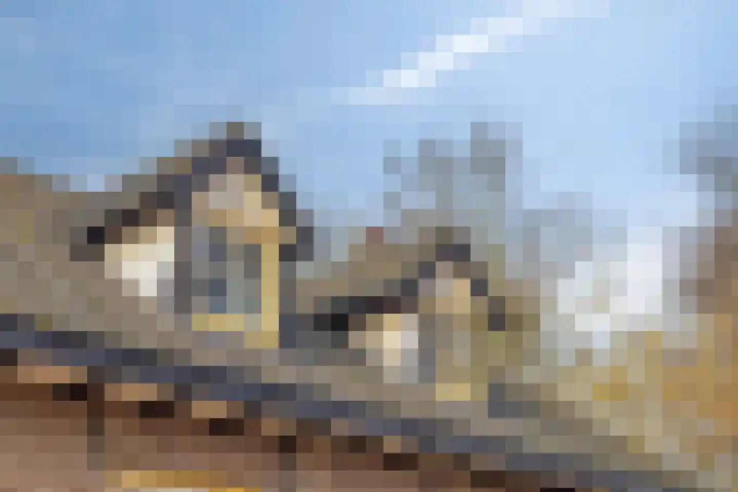 Kerkstraat 40 Veessen thumbnail 64