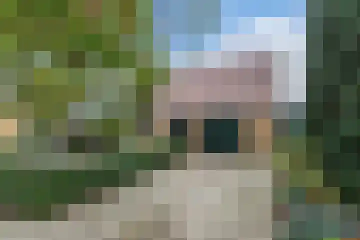 Kerkstraat 40 Wolvega thumbnail 30