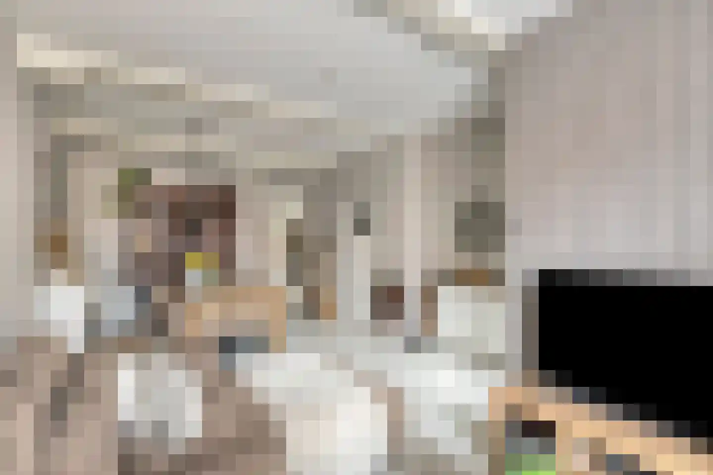 Kerkstraat 40 Zaltbommel thumbnail 8