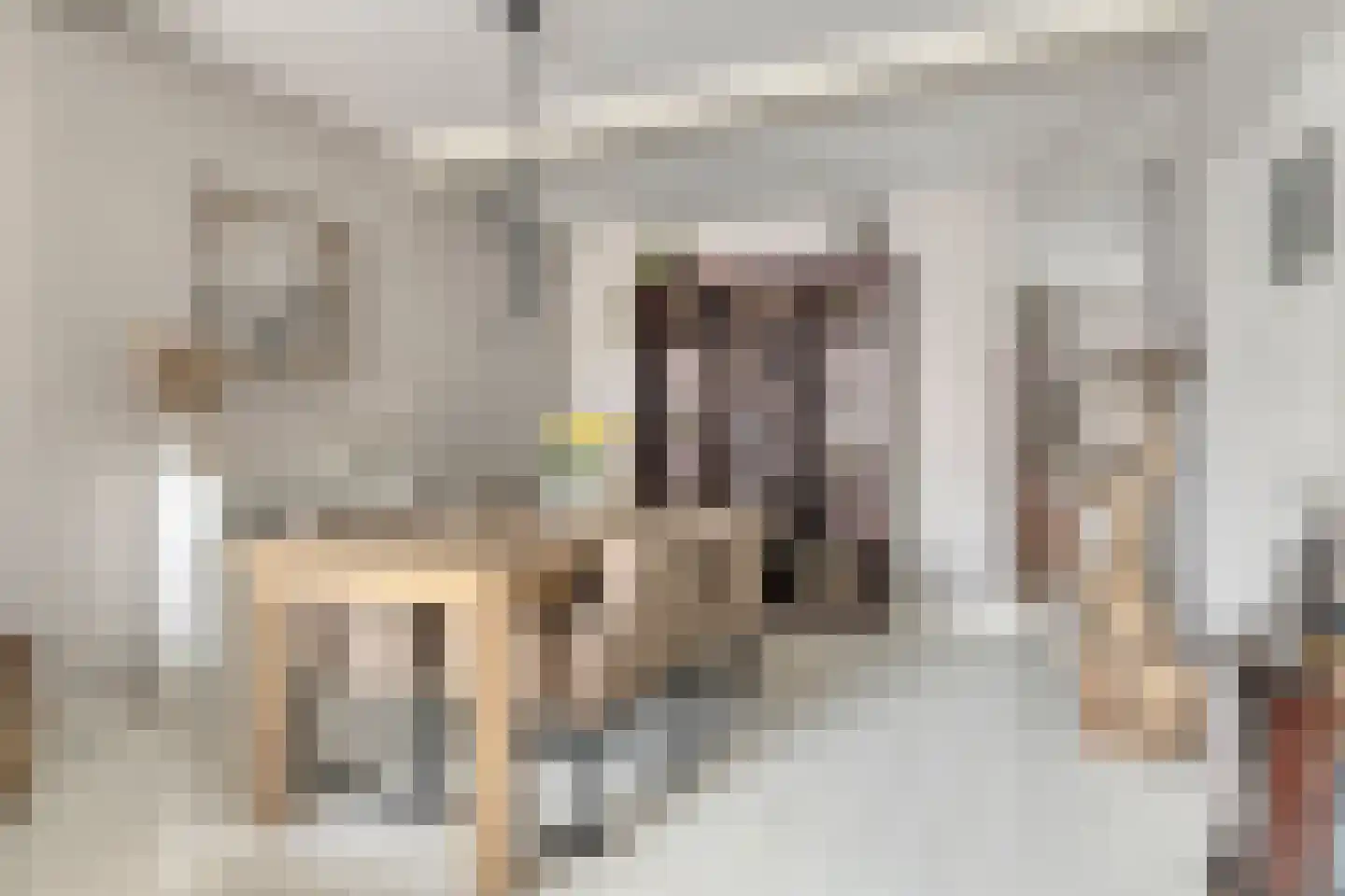 Kerkstraat 40 Zaltbommel thumbnail 9