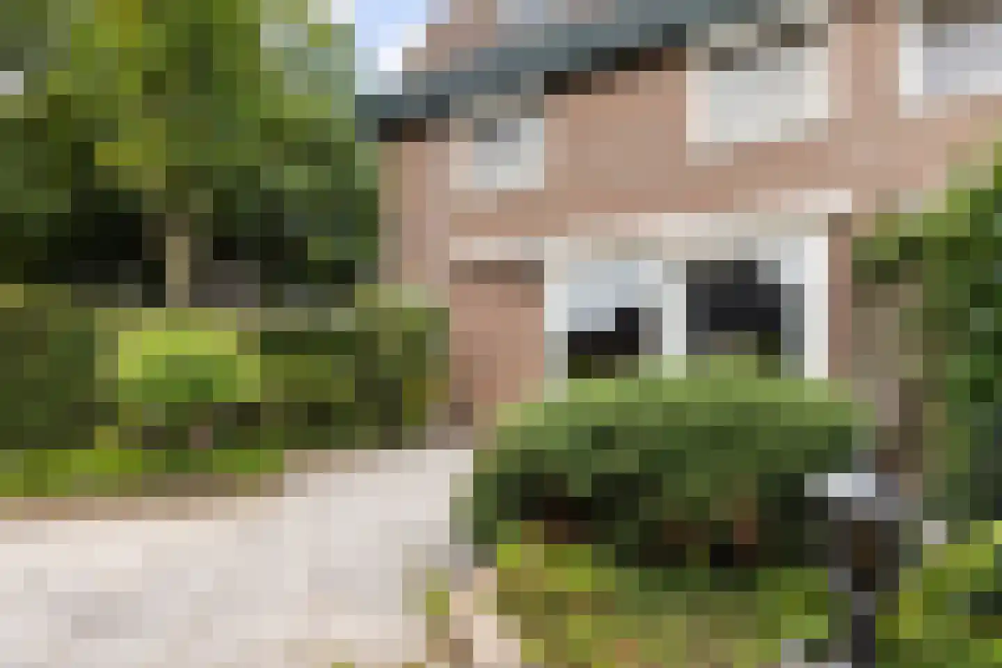 Kerkstraat 40 Zwijndrecht thumbnail 4