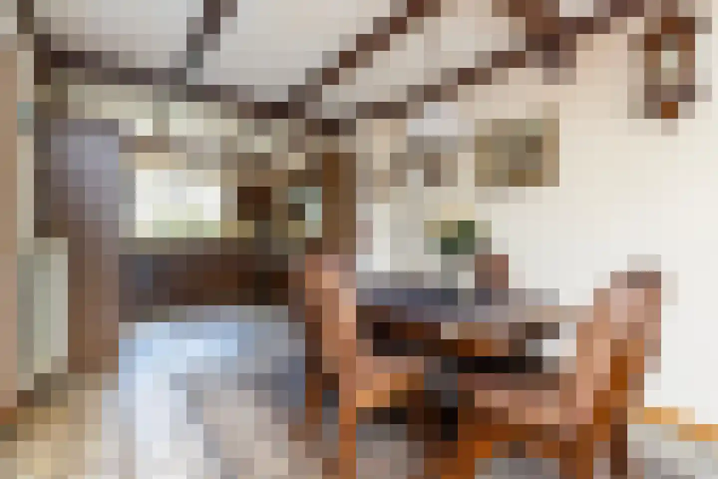 Kerkstraat 40 Zwijndrecht thumbnail 8