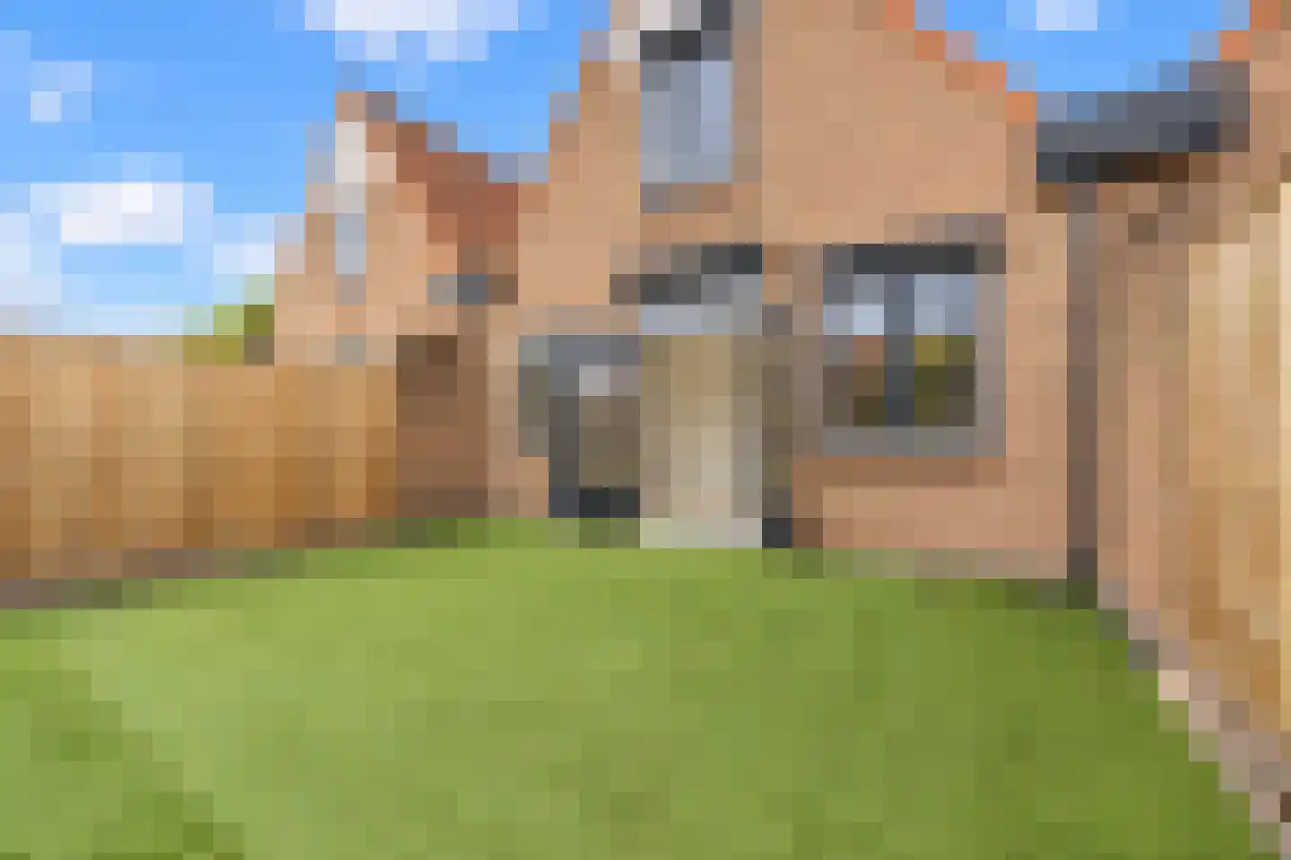 Kerkstraat 41 B Oud-Beijerland thumbnail 20