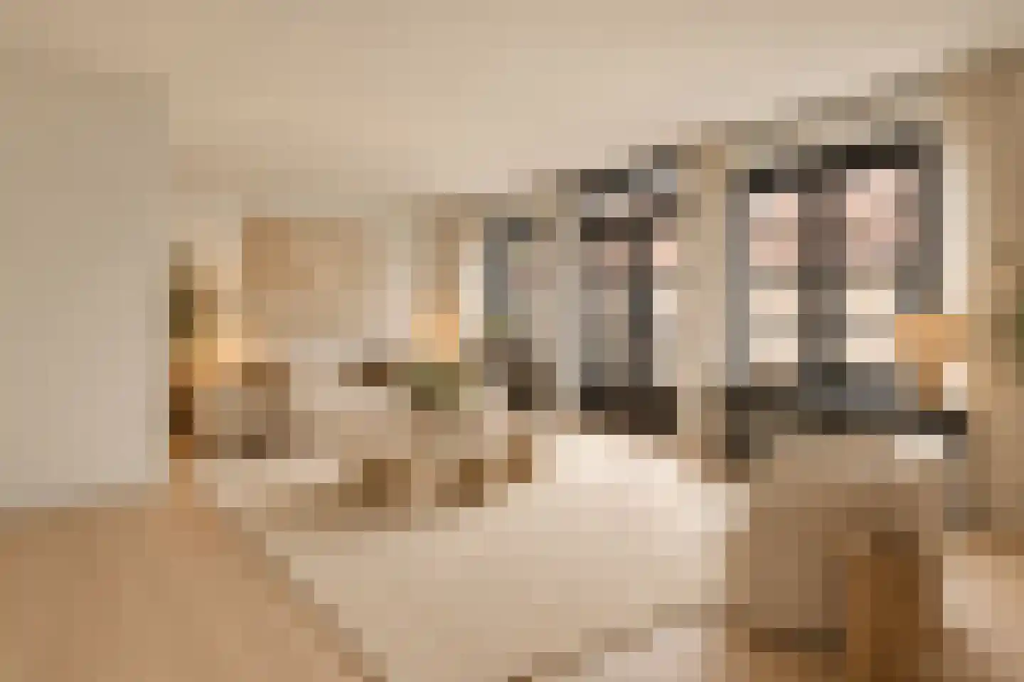 Kerkstraat 41 B Oud-Beijerland thumbnail 4