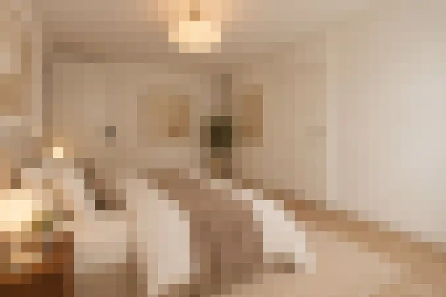 Kerkstraat 41 Oud-Beijerland thumbnail 12