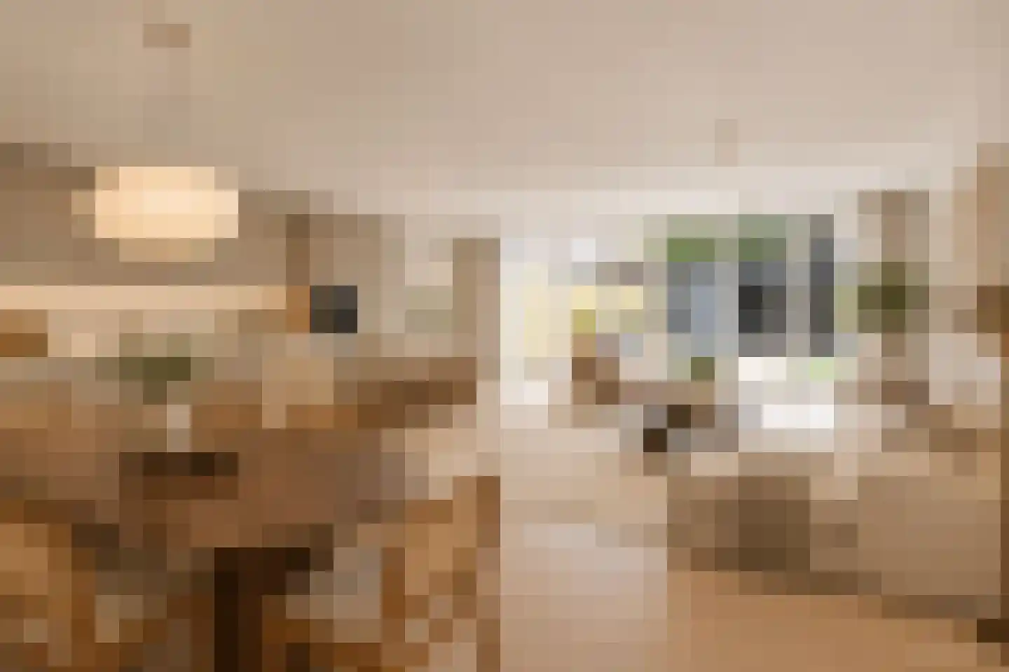 Kerkstraat 41 Oud-Beijerland thumbnail 4