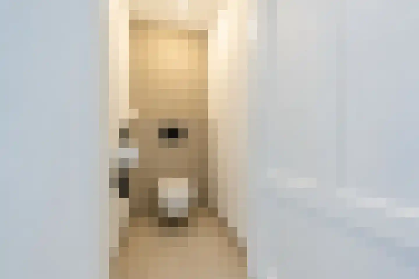 Kerkstraat 41 Oud-Beijerland thumbnail 7