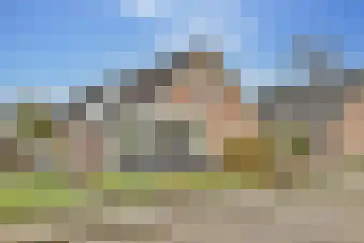 Kerkstraat 41 Zuidwolde thumbnail 6