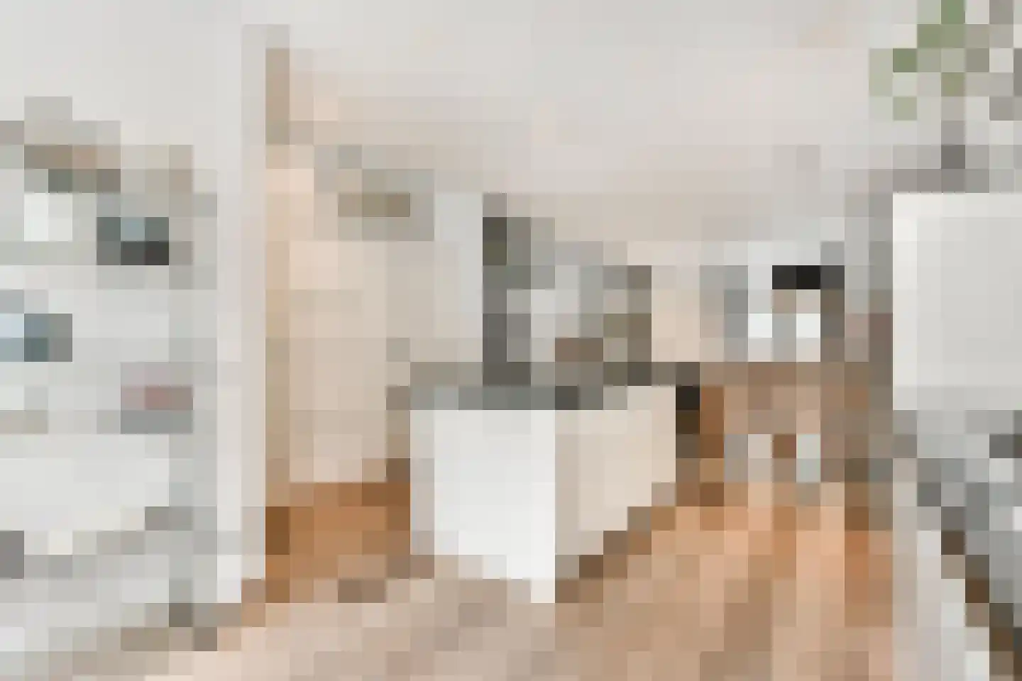 Kerkstraat 410 1 Amsterdam thumbnail 9