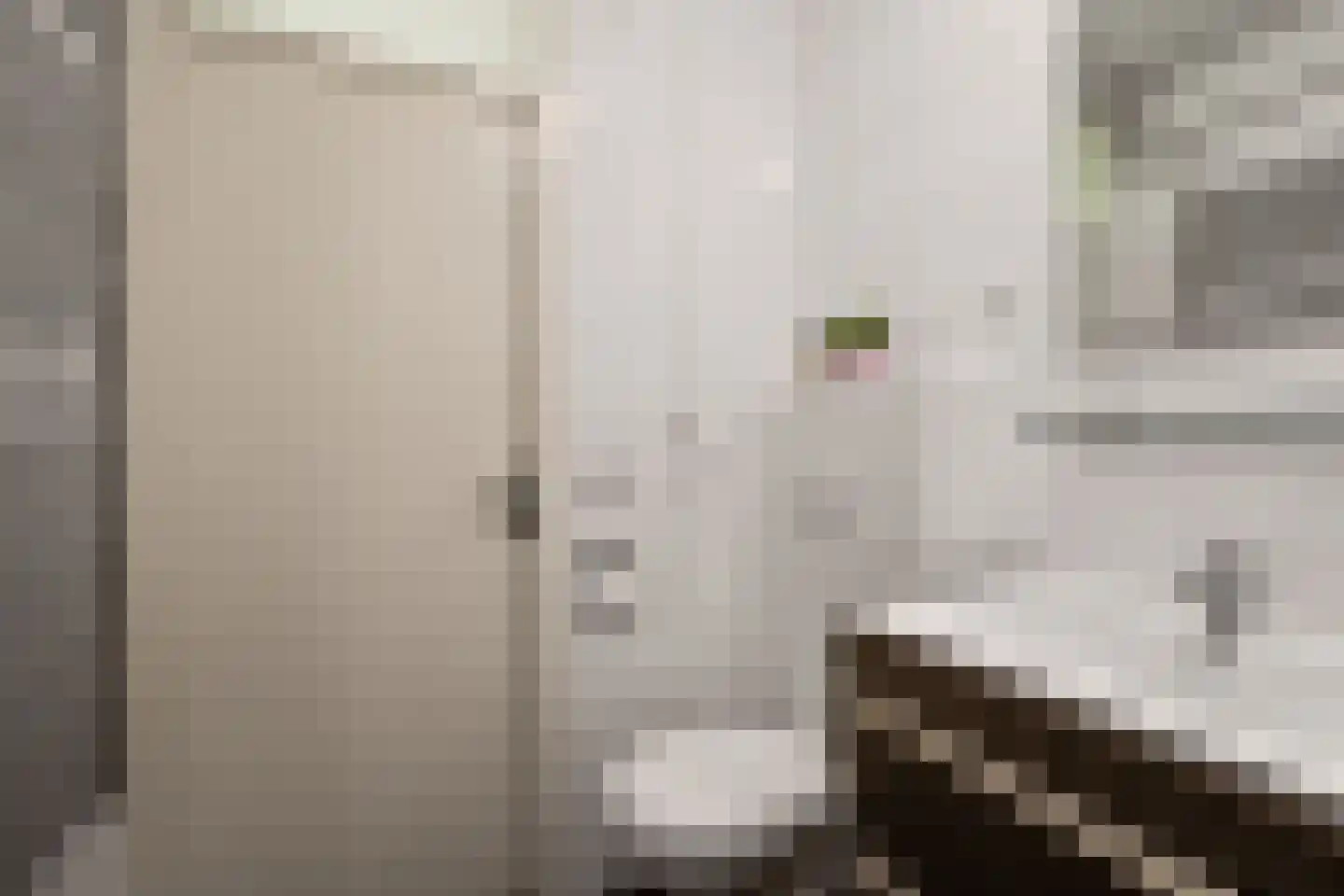 Kerkstraat 42 Alkmaar thumbnail 11
