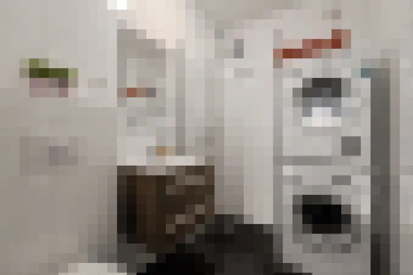 Kerkstraat 42 Alkmaar thumbnail 12