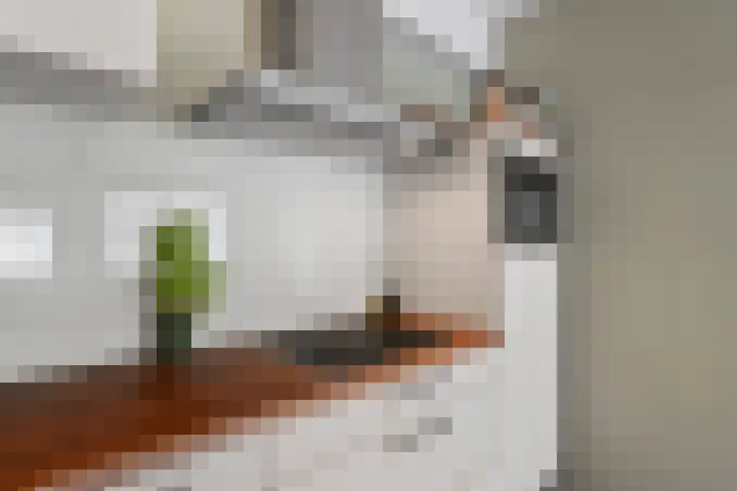 Kerkstraat 42 Alkmaar thumbnail 19