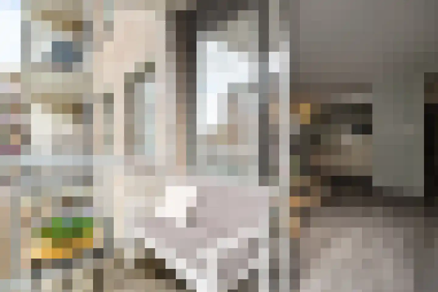 Kerkstraat 42 Alkmaar thumbnail 20