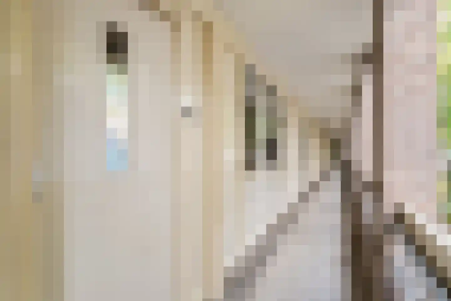 Kerkstraat 42 Alkmaar thumbnail 6