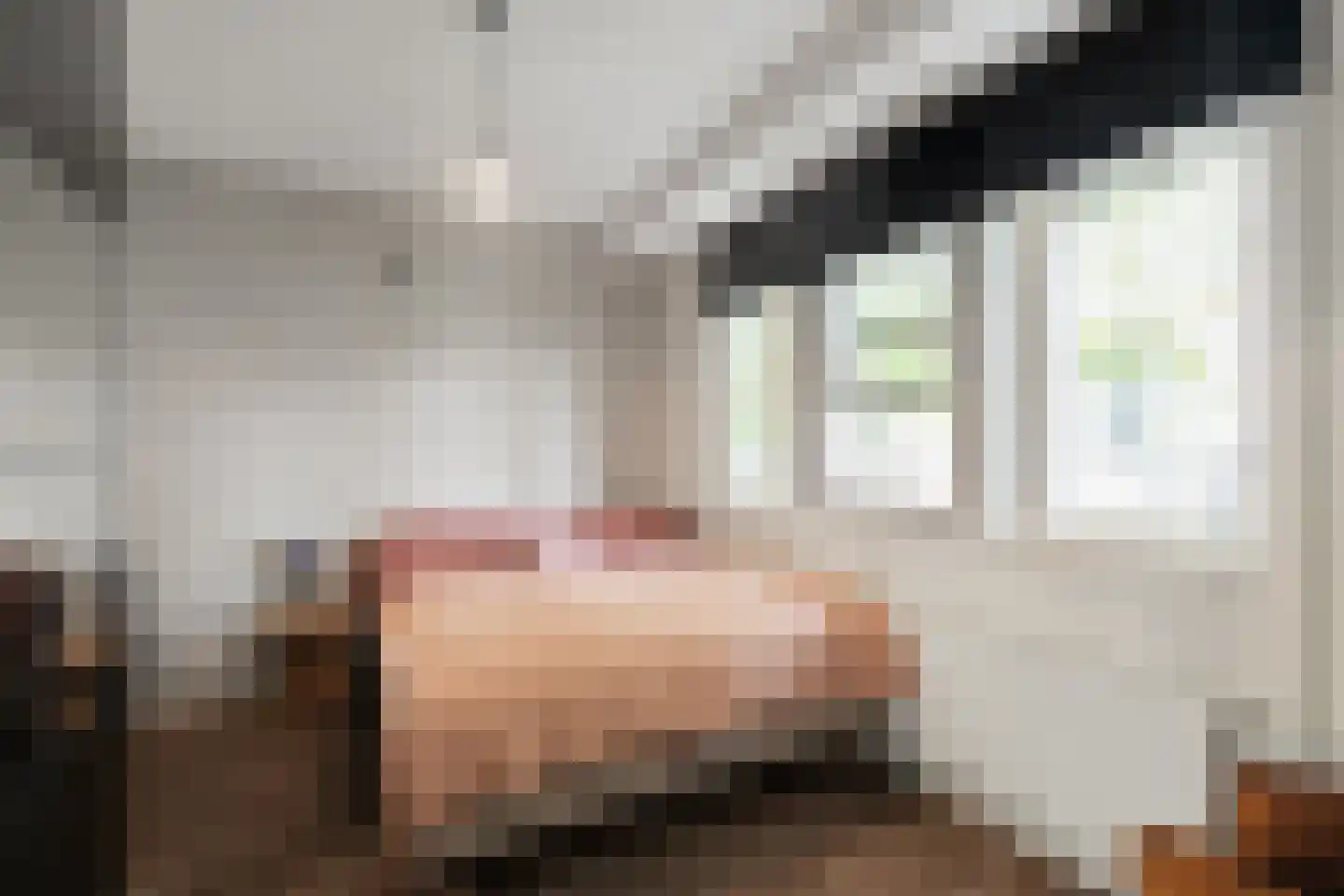 Kerkstraat 42 Alkmaar thumbnail 8