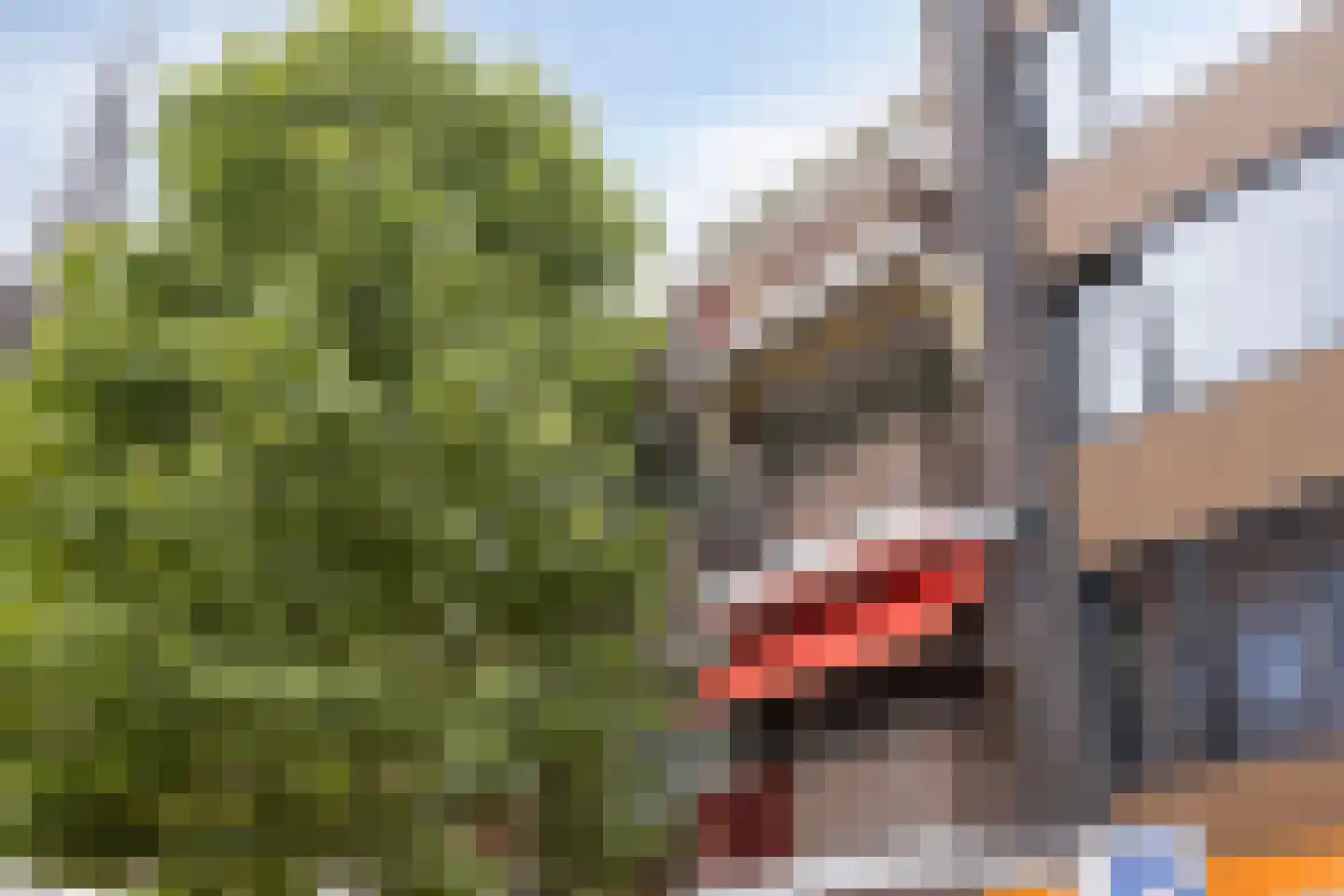 Kerkstraat 42 B Helmond thumbnail 11