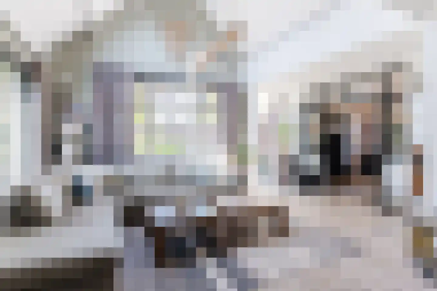 Kerkstraat 42 Bergeijk thumbnail 23