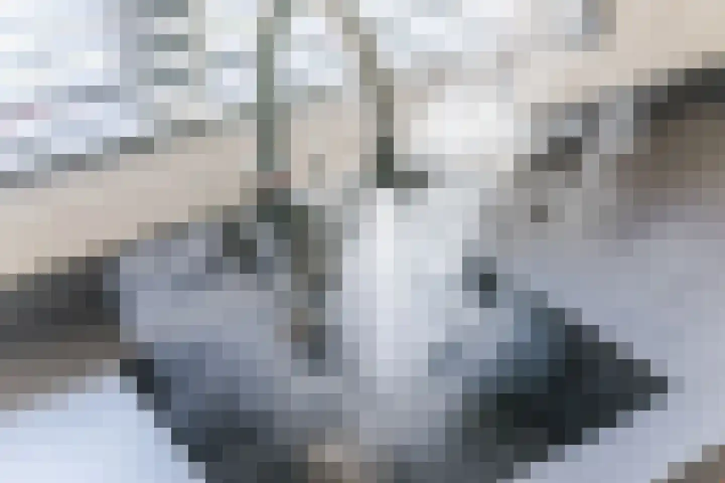 Kerkstraat 42 Bergeijk thumbnail 33