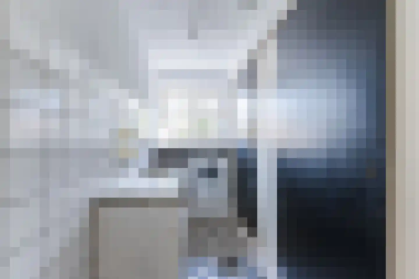 Kerkstraat 42 Bergeijk thumbnail 38