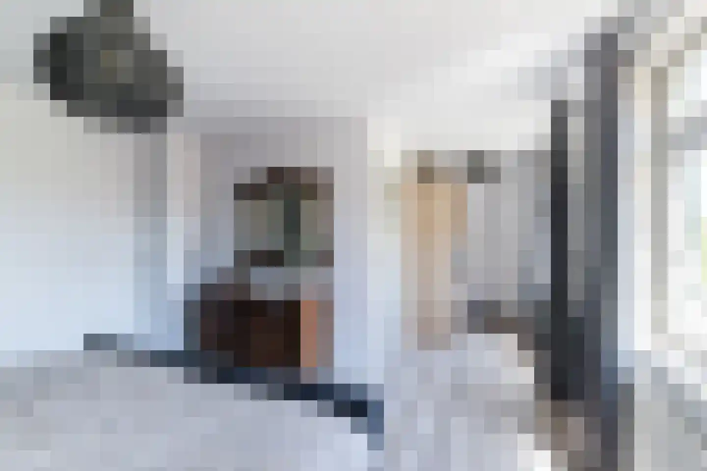 Kerkstraat 42 Bergeijk thumbnail 50