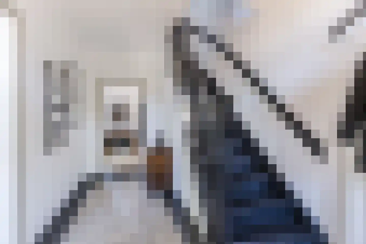 Kerkstraat 42 Bergeijk thumbnail 6