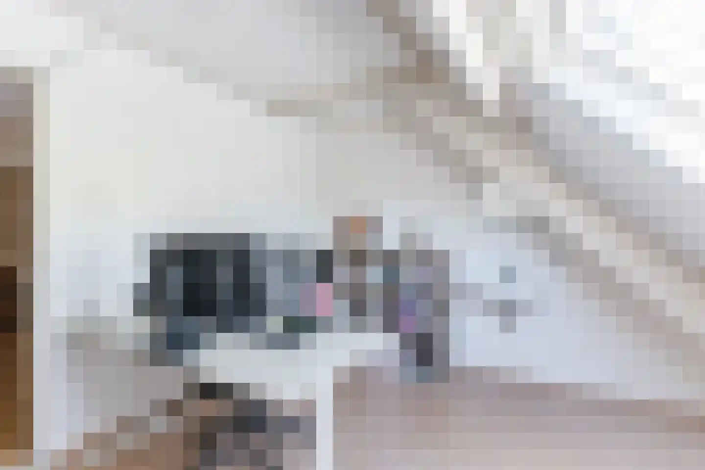 Kerkstraat 42 Bergeijk thumbnail 64