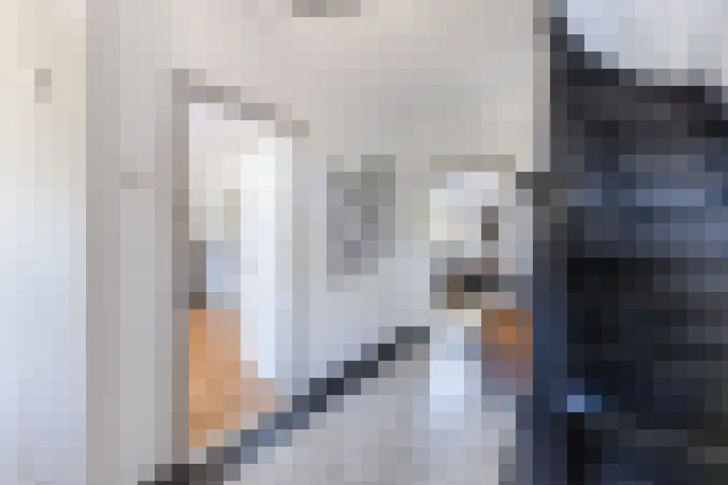 Kerkstraat 42 Bergeijk thumbnail 7
