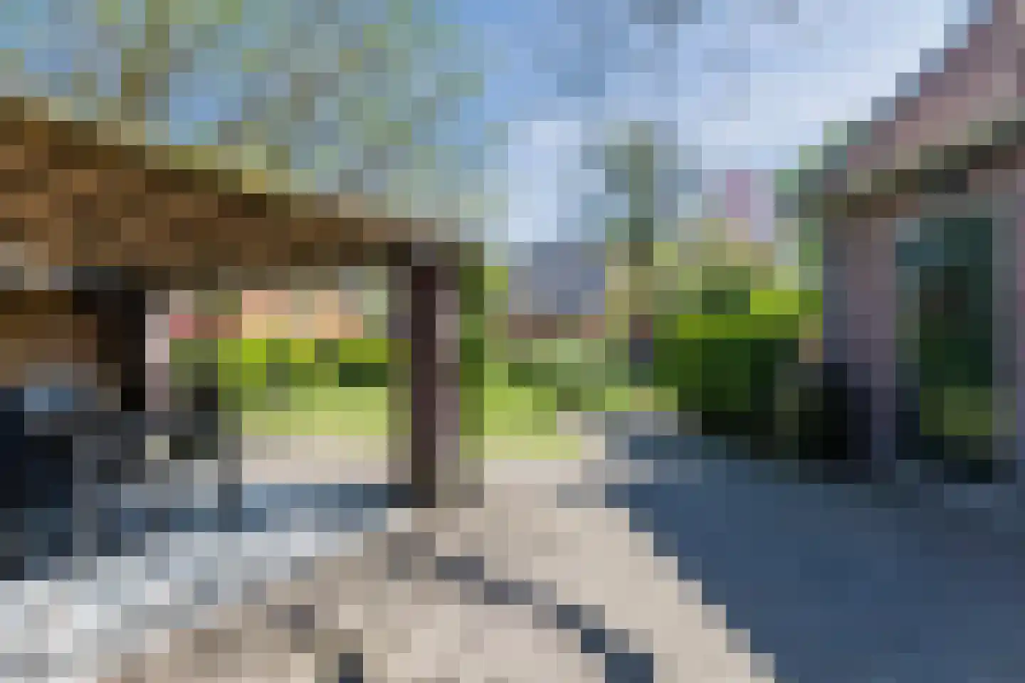 Kerkstraat 42 Bergeijk thumbnail 73