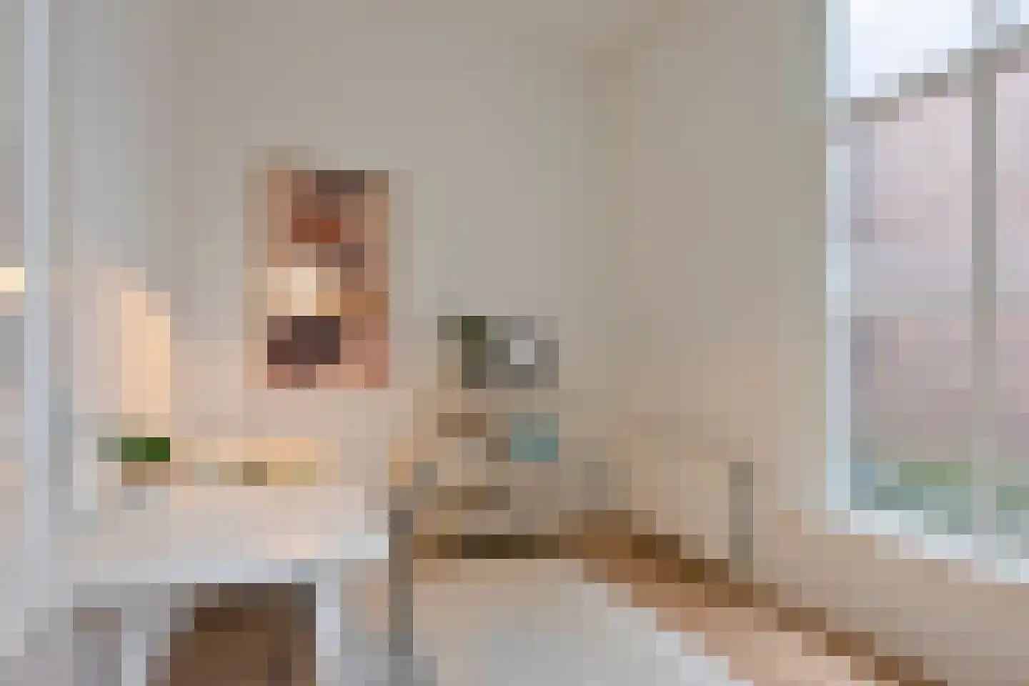Kerkstraat 42 Doesburg thumbnail 17