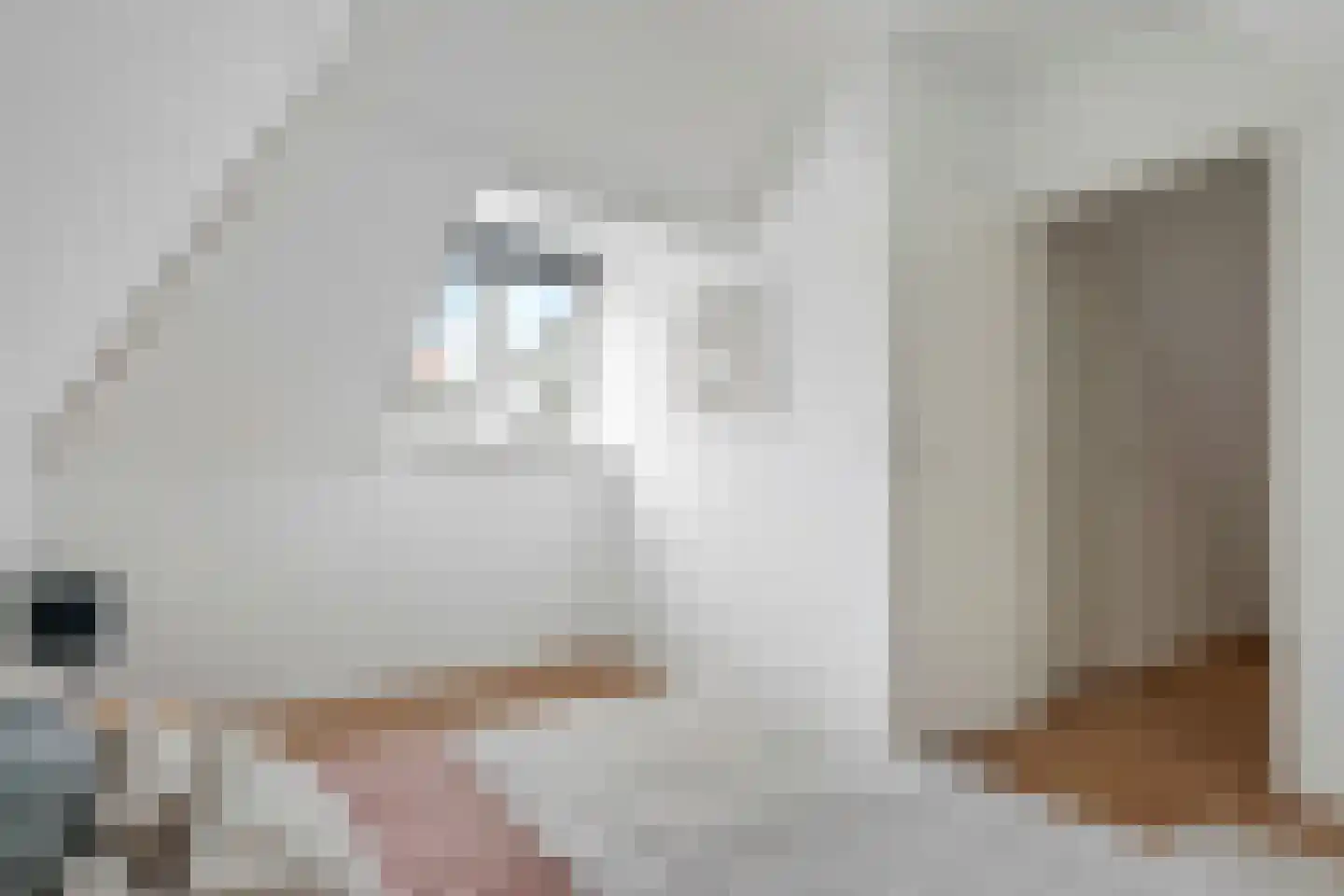 Kerkstraat 42 Doesburg thumbnail 23