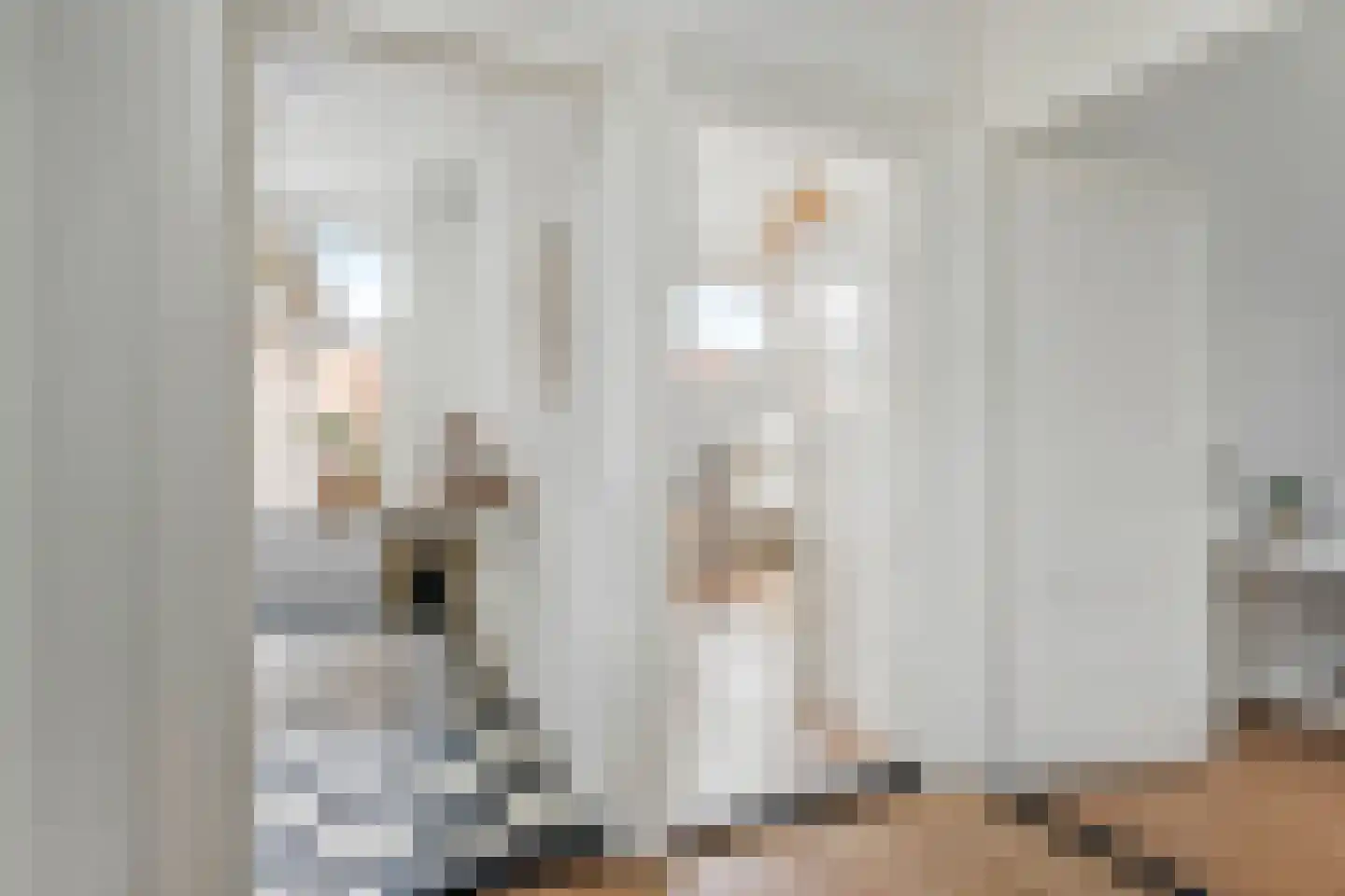 Kerkstraat 42 Doesburg thumbnail 7