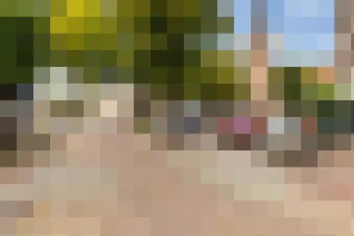 Kerkstraat 42 f Wijhe thumbnail 4