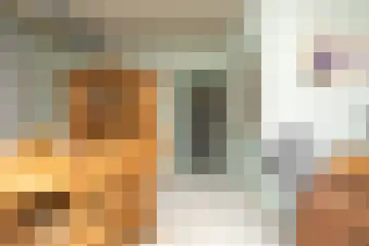 Kerkstraat 42 Hank thumbnail 15
