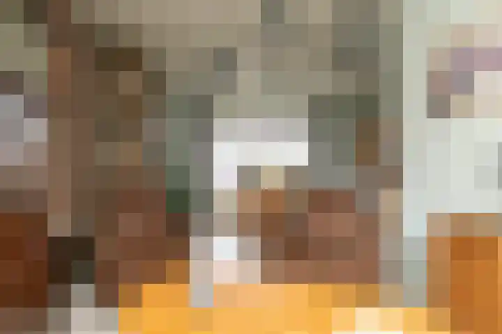 Kerkstraat 42 Hank thumbnail 18