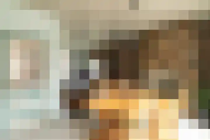Kerkstraat 42 Hank thumbnail 20