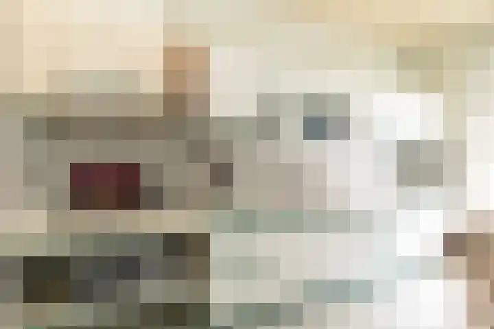 Kerkstraat 42 Hank thumbnail 26