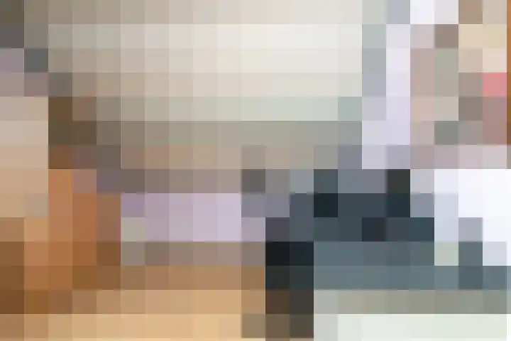 Kerkstraat 42 Hank thumbnail 30
