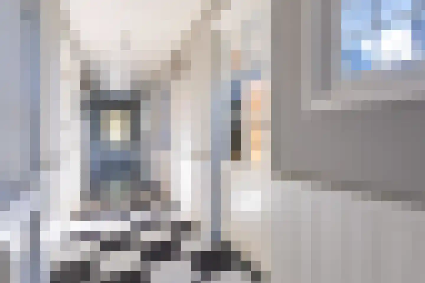 Kerkstraat 42 Wognum thumbnail 10