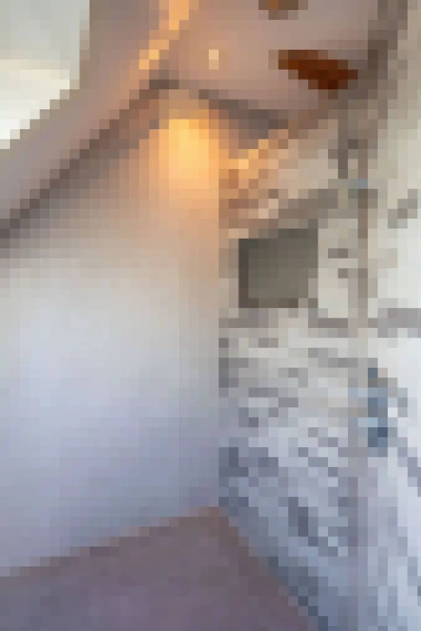 Kerkstraat 42 Wognum thumbnail 40