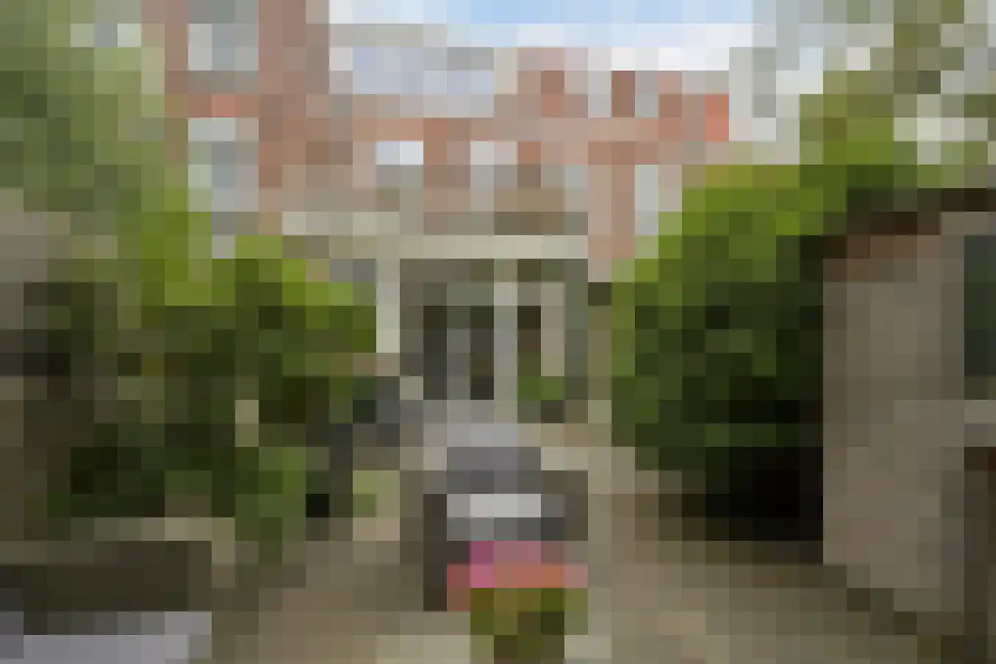 Kerkstraat 43 Den Haag thumbnail 29