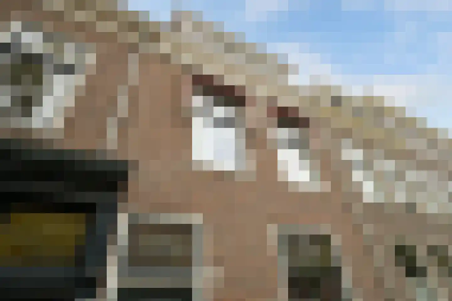 Kerkstraat 43 Den Haag thumbnail 5