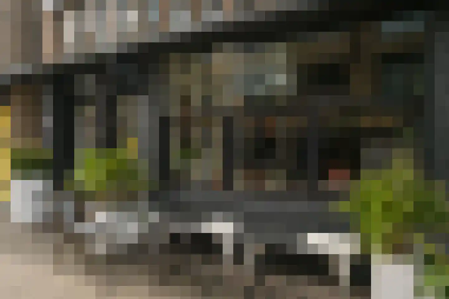Kerkstraat 43 Den Haag thumbnail 56