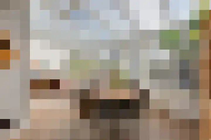 Kerkstraat 43 Giesbeek thumbnail 20