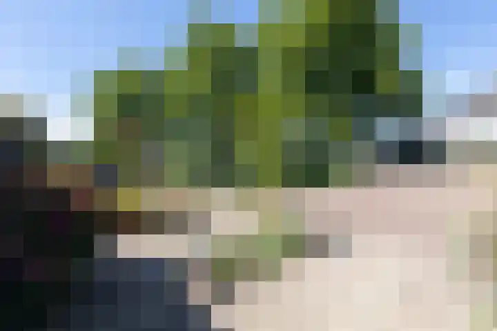 Kerkstraat 43 Giesbeek thumbnail 63