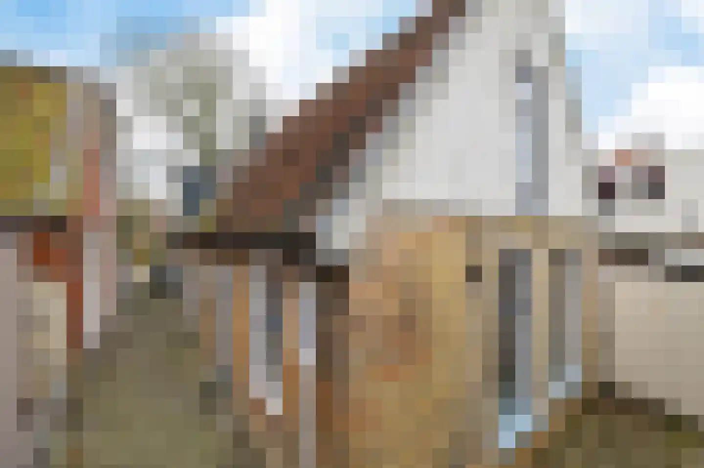 Kerkstraat 43 Grou thumbnail 31