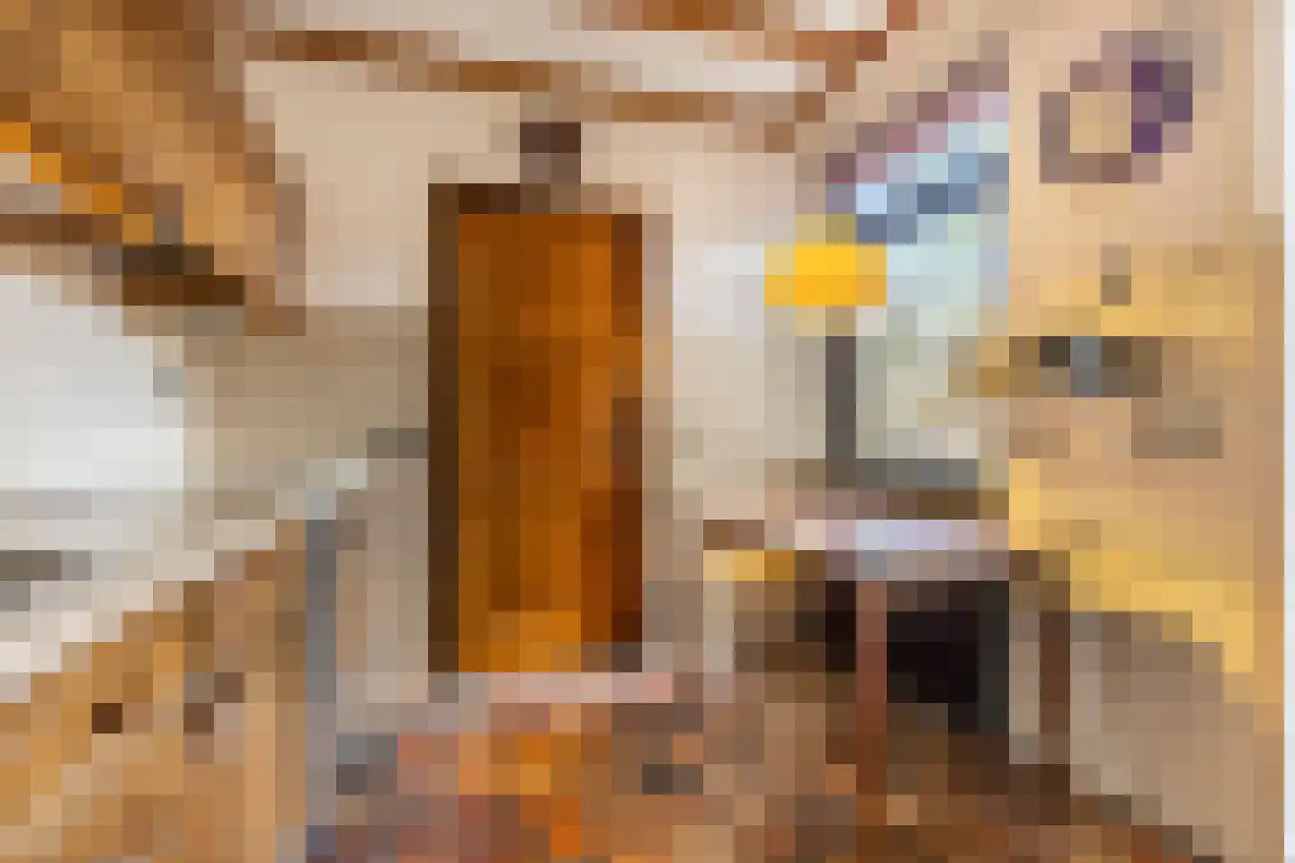 Kerkstraat 43 Haaren thumbnail 12