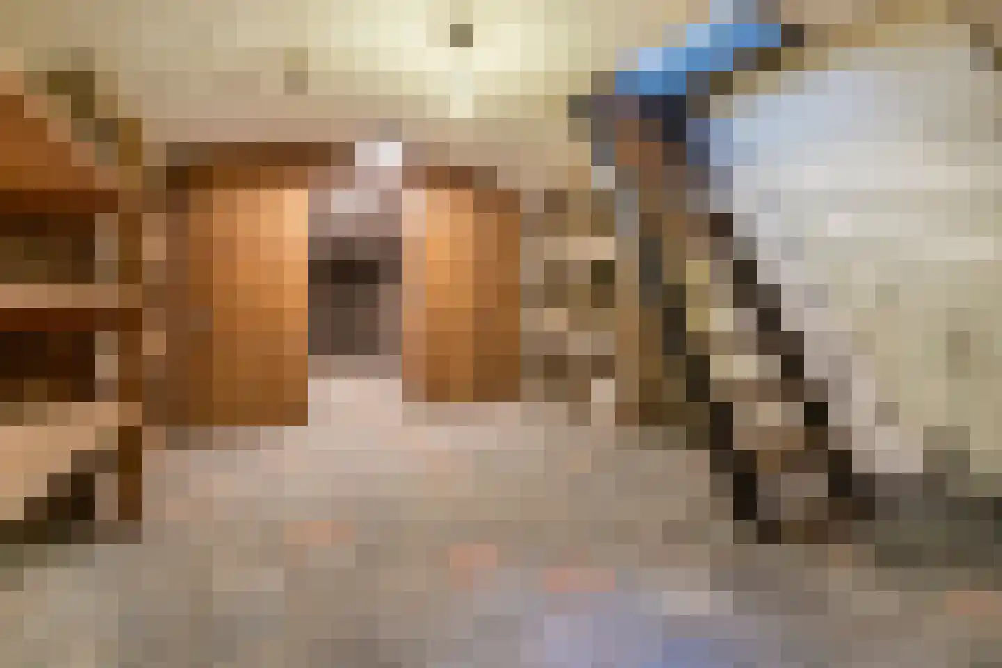 Kerkstraat 43 Haaren thumbnail 25