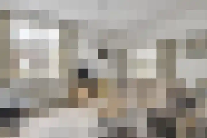 Kerkstraat 43 Nunhem thumbnail 11
