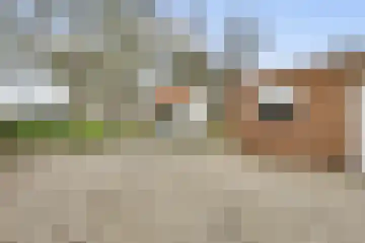 Kerkstraat 43 Nunhem thumbnail 30