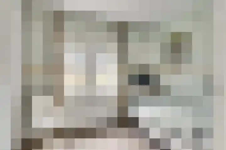 Kerkstraat 43 Nunhem thumbnail 38